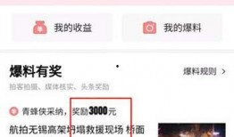 今日爆料最新事件视频网,最新事件视频曝光，真相令人震惊！