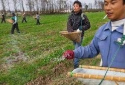 假化肥农药爆料最新消息,最新爆料揭露行业乱象